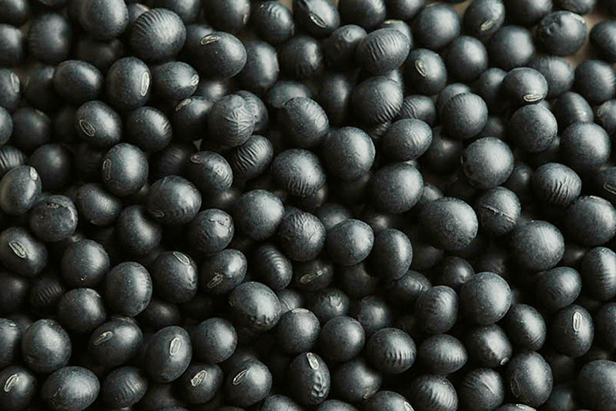 黒大豆