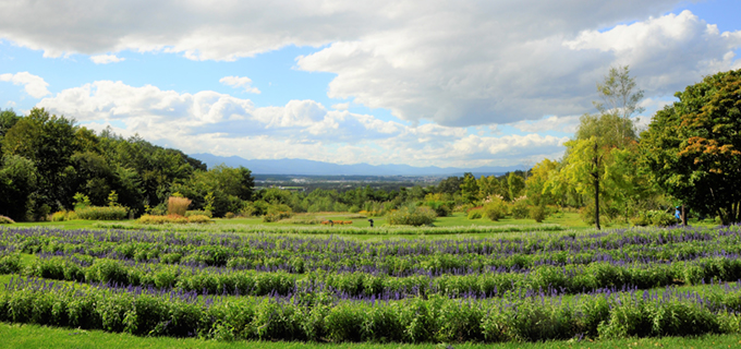 tokachi-hills_photo